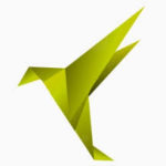 CBird Logo